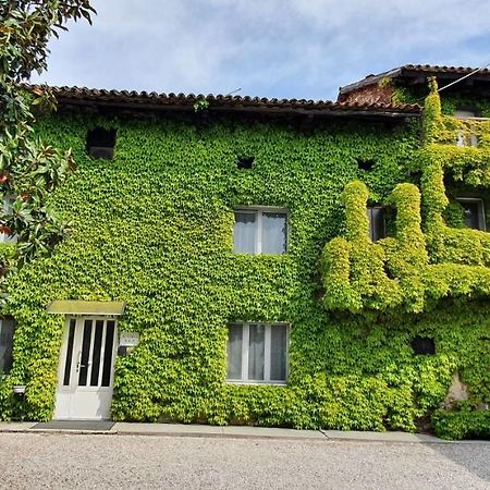 Bed and Breakfast Altebas Nogaredo di Prato Exteriér fotografie